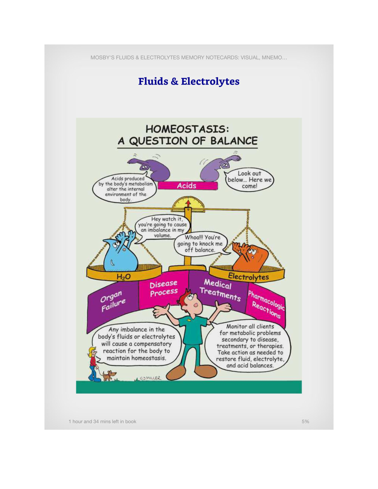 Preview image for ATI -Fluid and Electrolytes Memory Cards